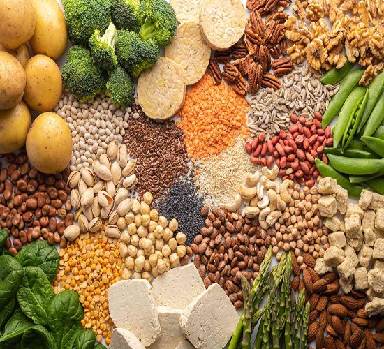 Plant proteins by silver hand general trading
